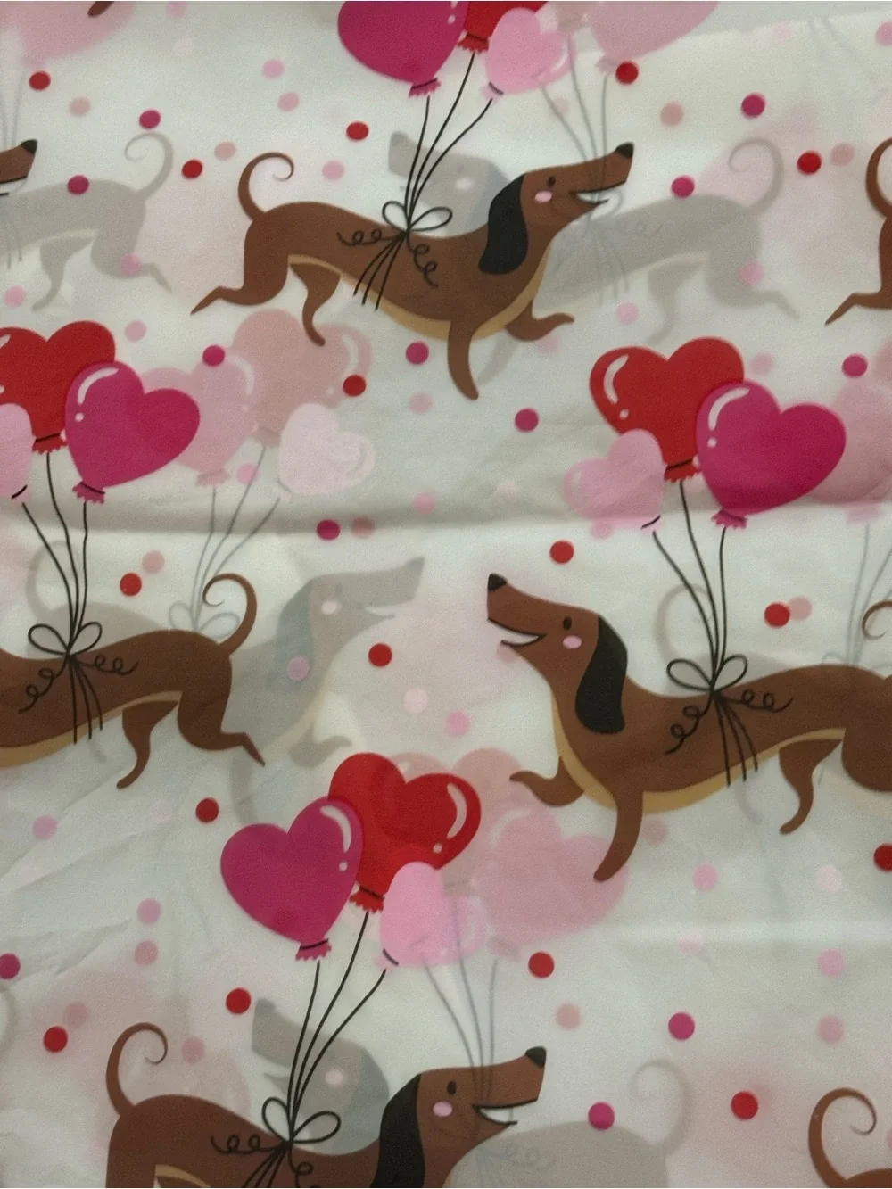 Weiner Dog Valentine Plastic Shower Curtain